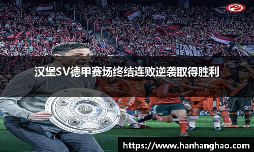 jn江南·体育登录入口