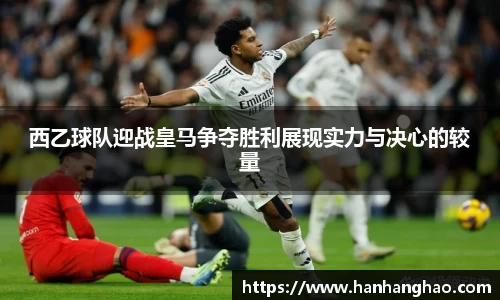 jn江南·体育登录入口